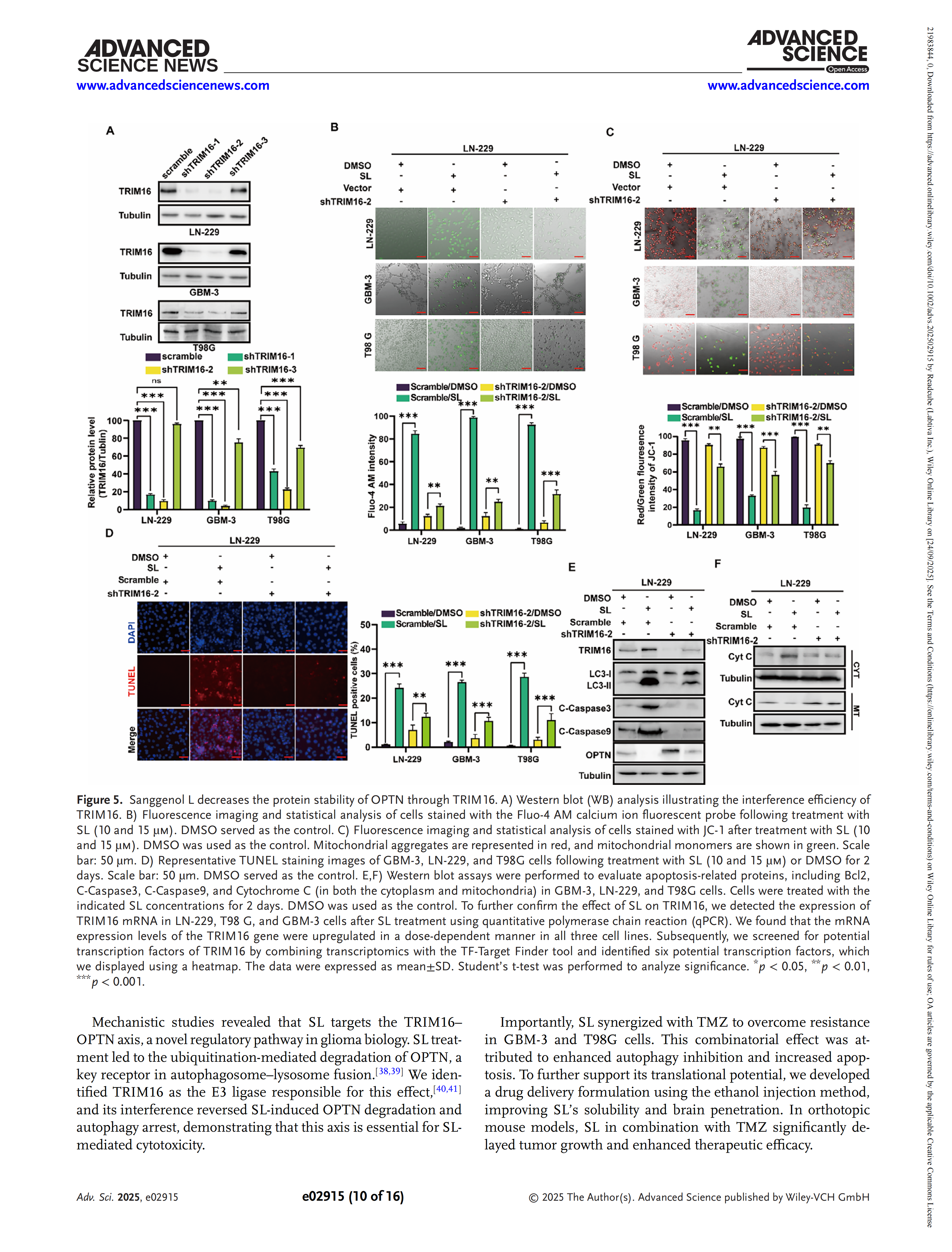 Sanggenol L Enhances Temozolomide Drug Sensitivity by Inhibiting ...